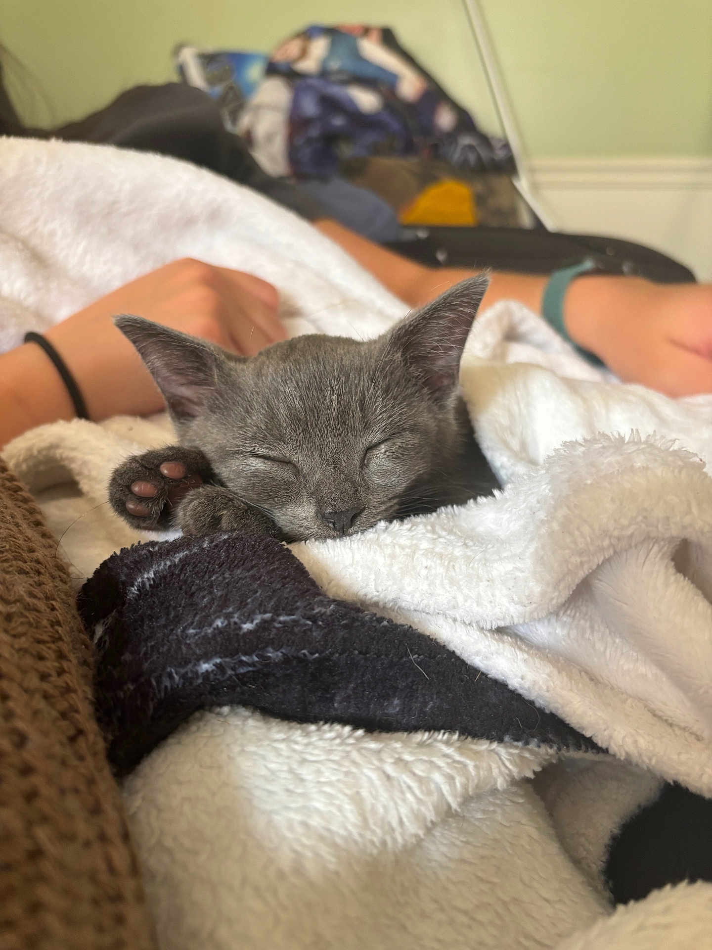 Nimbus