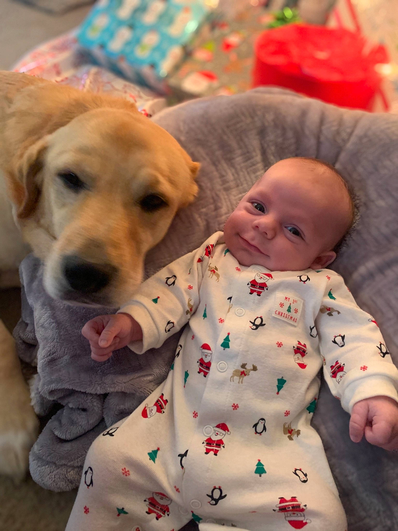 Wesley is registered to the contest to win money with this photo: baby, baby_products, baby_toddler_clothing, canidae, carnivore, collar, comfort, companion_dog, dog, dog_breed, fawn, human, labrador_retriever, mammal, nightwear, person, retriever, skin, snout, sporting_group