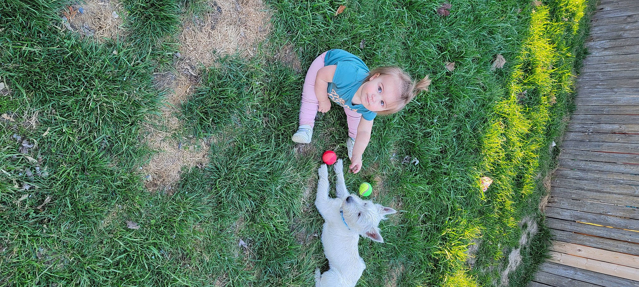 Allie joined the competition — help win amazing prizes! annual_plant, baby, baby_toddler_clothing, child, fun, garden, grass, grass_family, grassland, groundcover, happy, lawn, leisure, meadow, people_in_nature, person, plant, shrub, terrestrial_plant, toddler