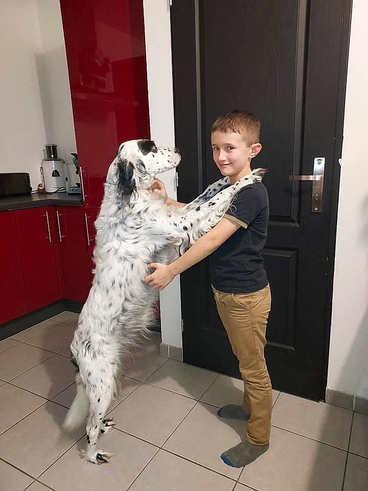 Harry a rejoint le concours — aidez-le/la à gagner de superbes lots ! borzoi, cabinetry, canidae, carnivore, companion_dog, dog, dog_breed, door, event, fashion_design, flooring, fun, fur, giant_dog_breed, non_sporting_group, smile, sporting_group