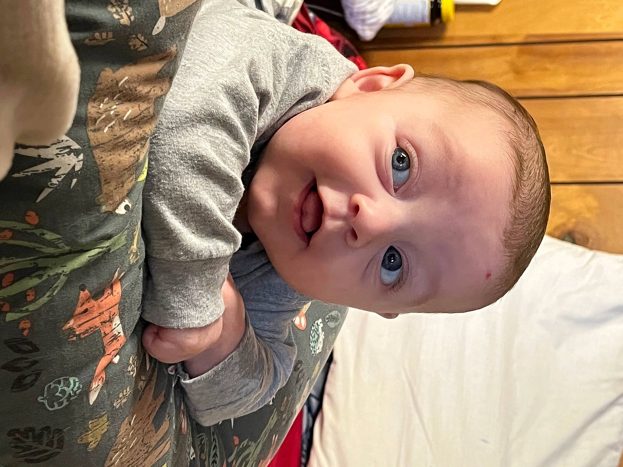 Memphis joined the competition — help win amazing prizes! cheek, child, chin, eyelash, face, flash_photography, fun, hairstyle, happy, hat, lip, mouth, nose, person, plant, skin, smile, t_shirt, toddler, tree