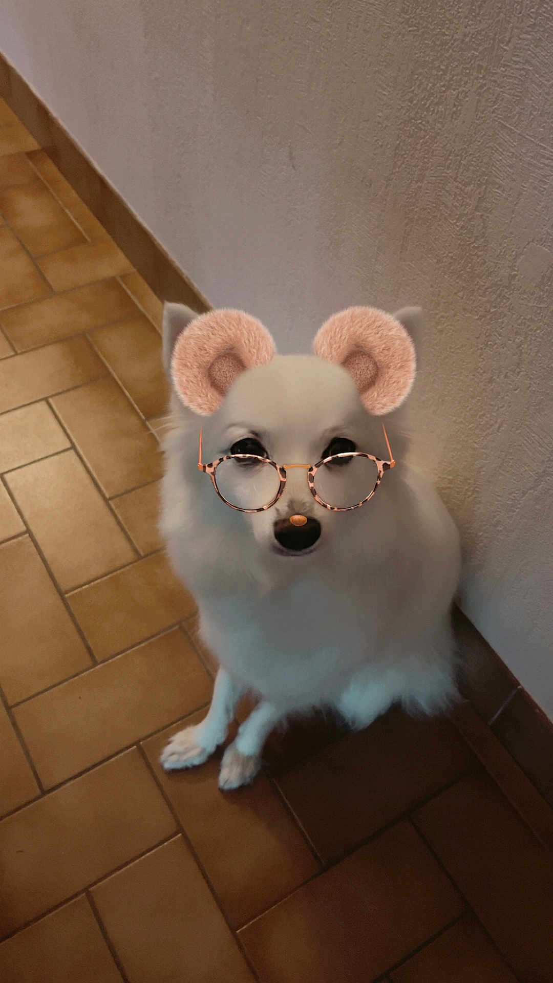 Missy