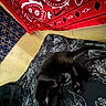 Astro joined the competition — help win amazing prizes! black_cat, sleeping_cat, bed, bedding, patterned_fabric, dragon_pattern, red_bandana, blue_cloth, indoor, cozy, resting, feline, paw, fur, animal, napping, comfort, soft_texture, decor, wall
