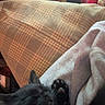 black_cat, cat, sleeping, nap, cozy, hoodie, fabric, plaid_couch, indoor, resting, paw, whiskers, soft_texture, feline, pet, relaxation, comfort, closeup, domestic_animal, warm_lighting