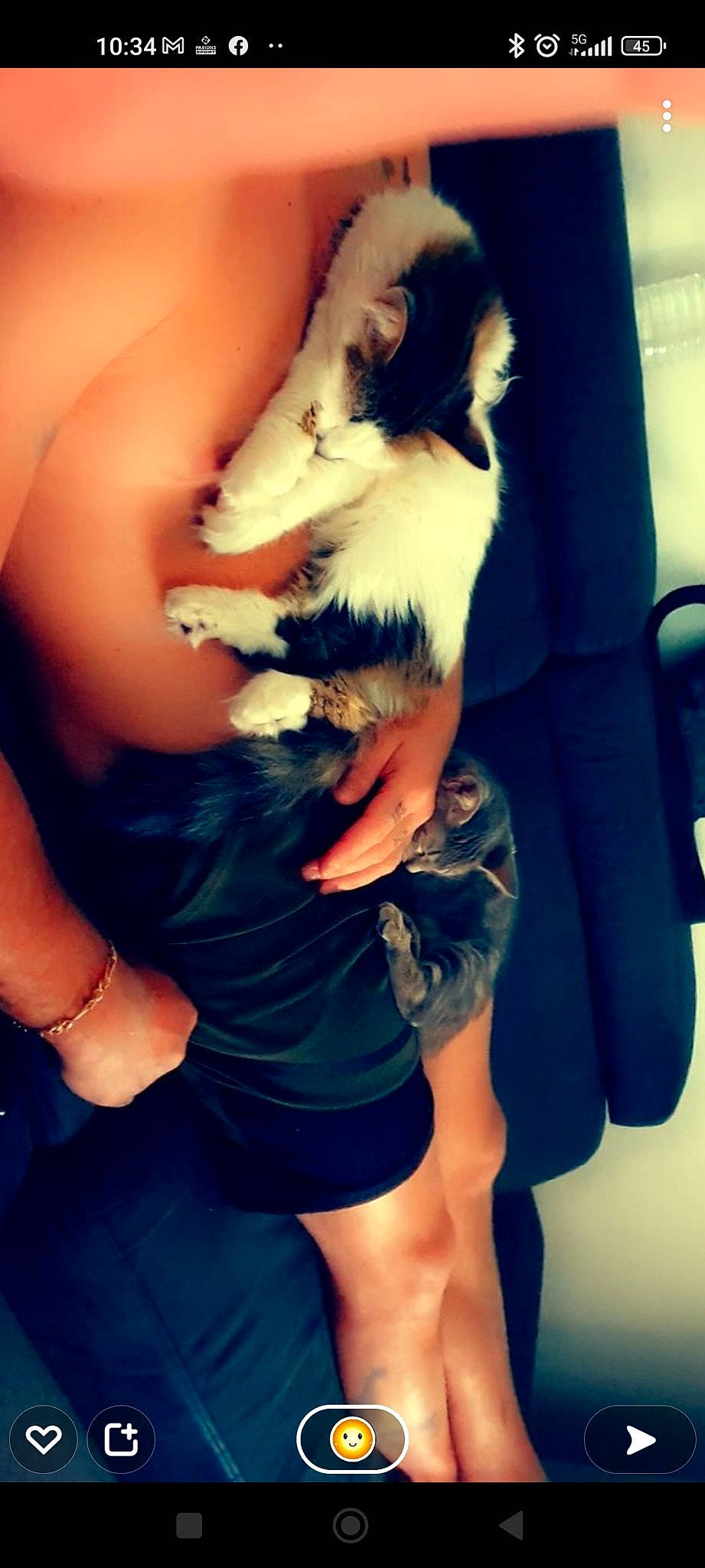 Noe a rejoint le concours — aidez-le/la à gagner de superbes lots ! arm, black_hair, carnivore, comfort, companion_dog, dog, dog_breed, elbow, finger, flash_photography, gesture, hand, happy, human_leg, knee, leg, long_hair, nail, skin, thigh