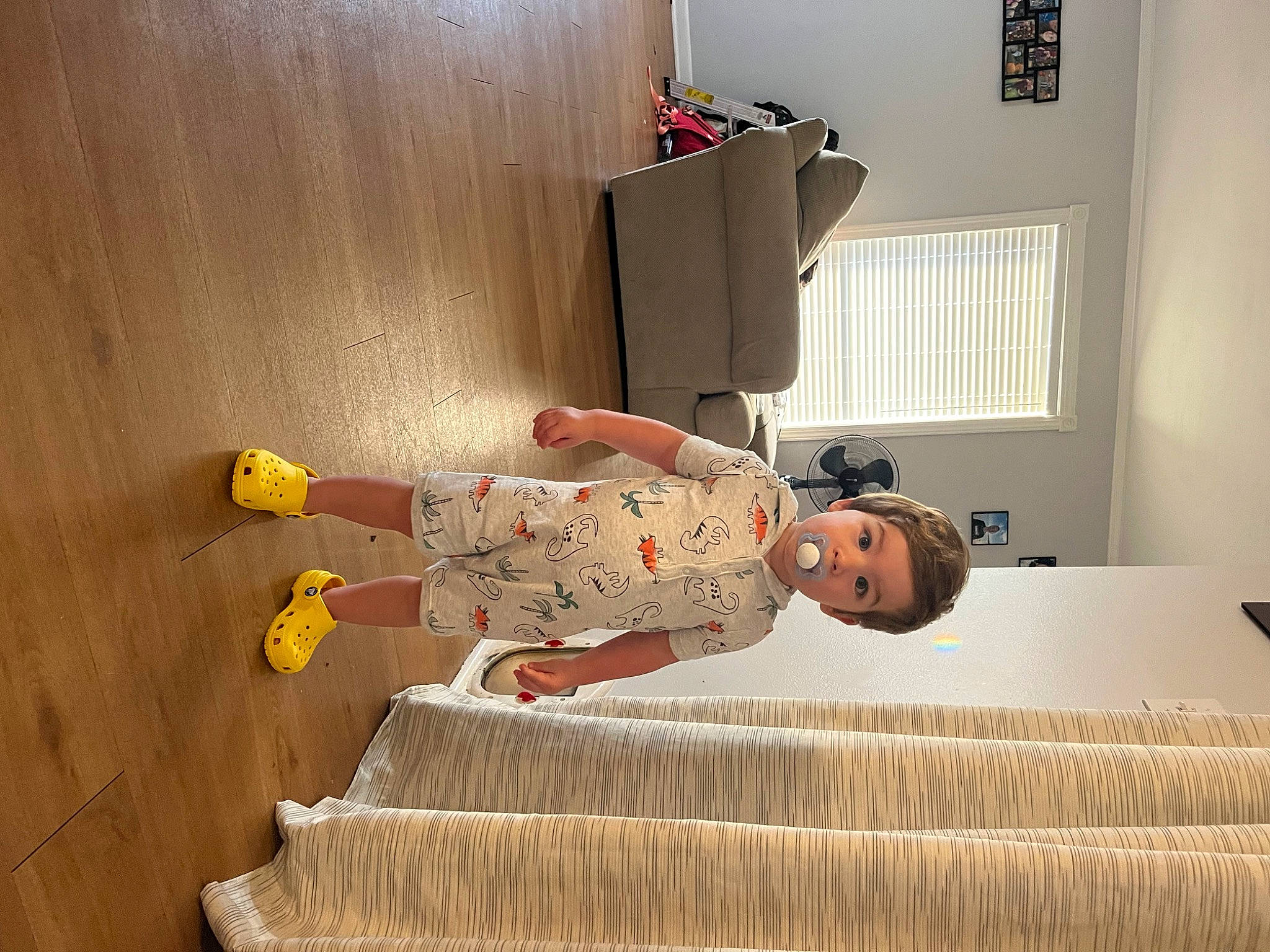 Buckley is registered to the contest to win money with this photo: child, comfort, floor, flooring, hardwood, house, person, rectangle, room, surprise, toddler, window, wood