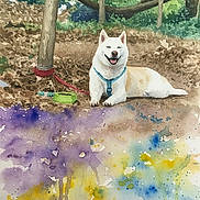 Timber is registered to the contest to win money with this photo: animal, artistic, blue, bowl, canine, colorful, dog, forest, greenery, ground, happy, leash, nature, outdoor, painting, purple, smiling, tree, watercolor, yellow