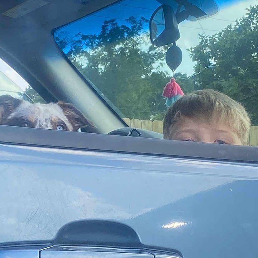 Reese is registered to the contest to win money with this photo: automotive_design, automotive_exterior, automotive_lighting, automotive_mirror, automotive_tire, blue, car, glass, hood, mode_of_transport, motor_vehicle, personal_luxury_car, plant, rear_view_mirror, sky, tree, vehicle, vehicle_door, vertebrate, window