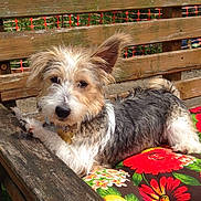 Jack is registered to the contest to win money with this photo: