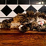 animal, black_and_white_tiles, cat, comfortable, cozy, cute, fluffy, fur, green_eyes, home, indoor, pet, pink_nose, relaxed, resting, tabby, upside_down, whiskers, white_paws, wooden_surface
