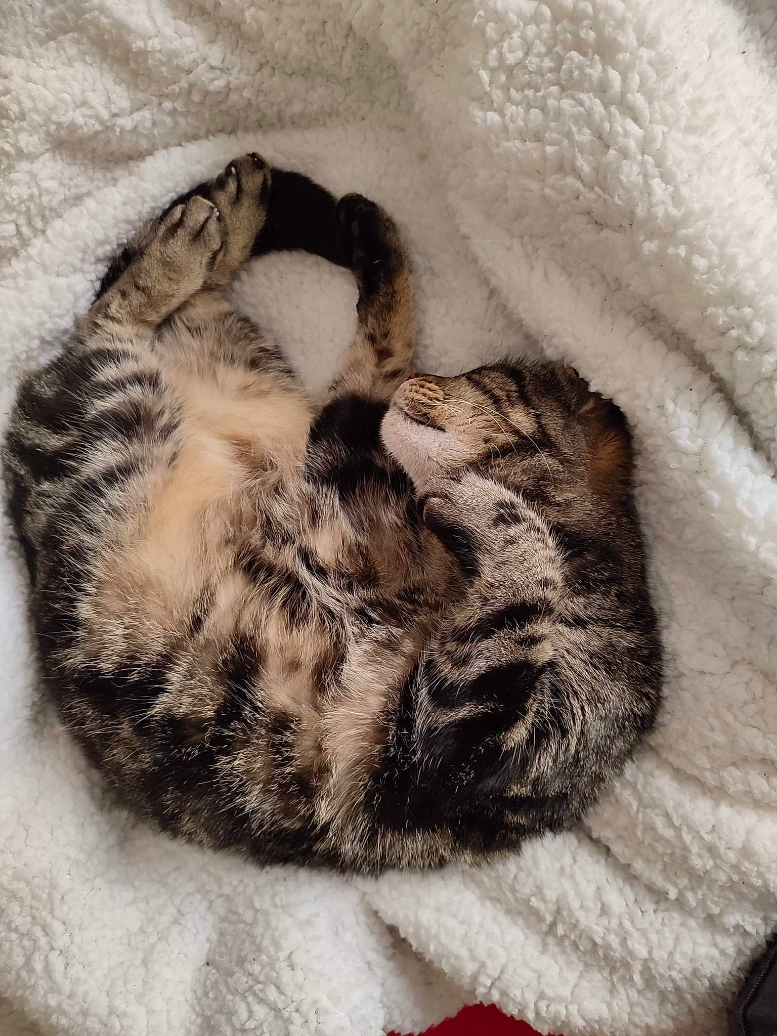 Babouche