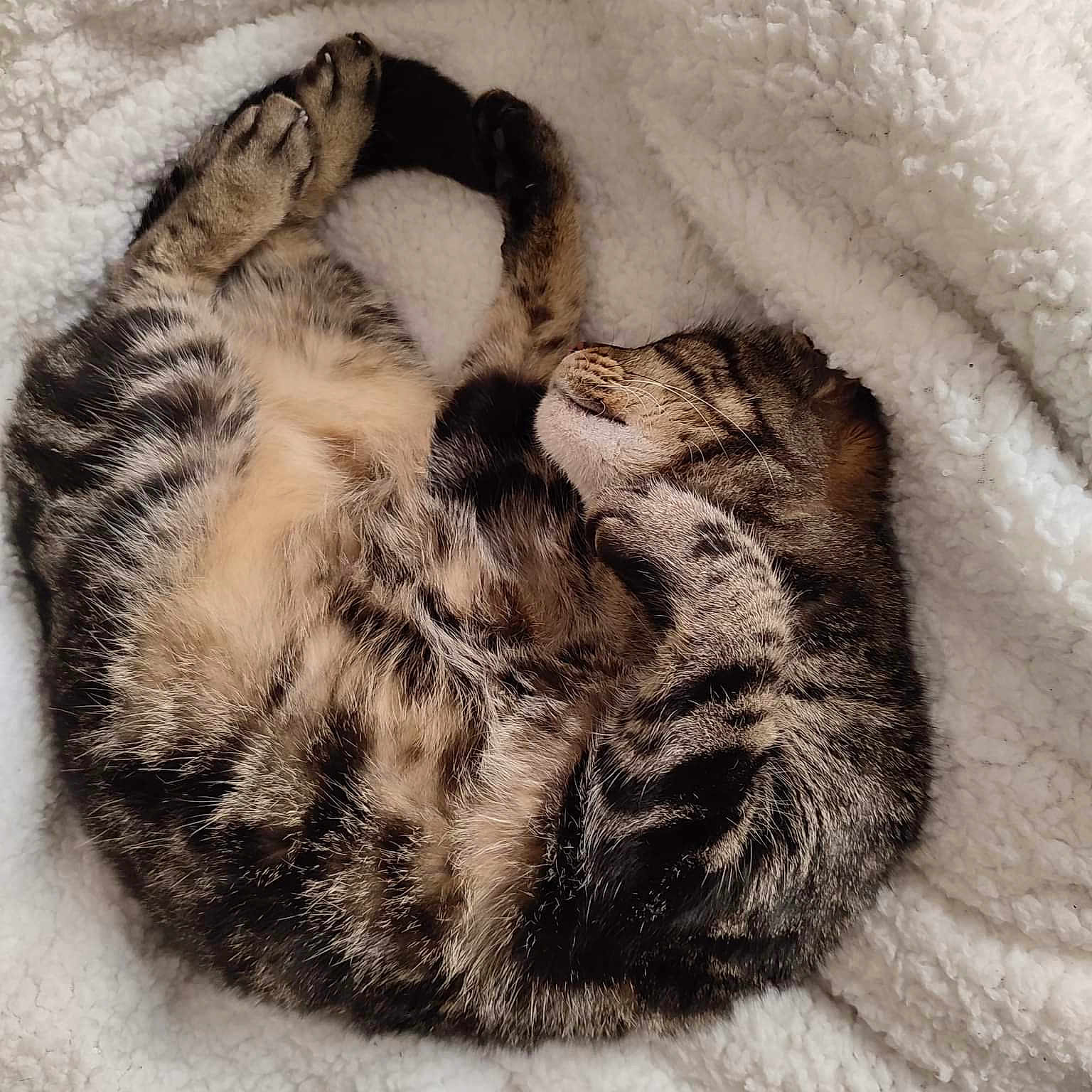 Babouche