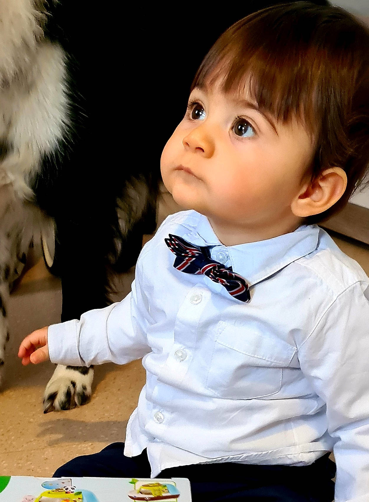 Roméo a rejoint le concours — aidez-le/la à gagner de superbes lots ! baby_toddler_clothing, bangs, brown_hair, chair, cheek, child, collar, companion_dog, dress_shirt, formal_wear, fun, fur, happy, nose, person, sitting, sleeve, tableware, toddler, toy