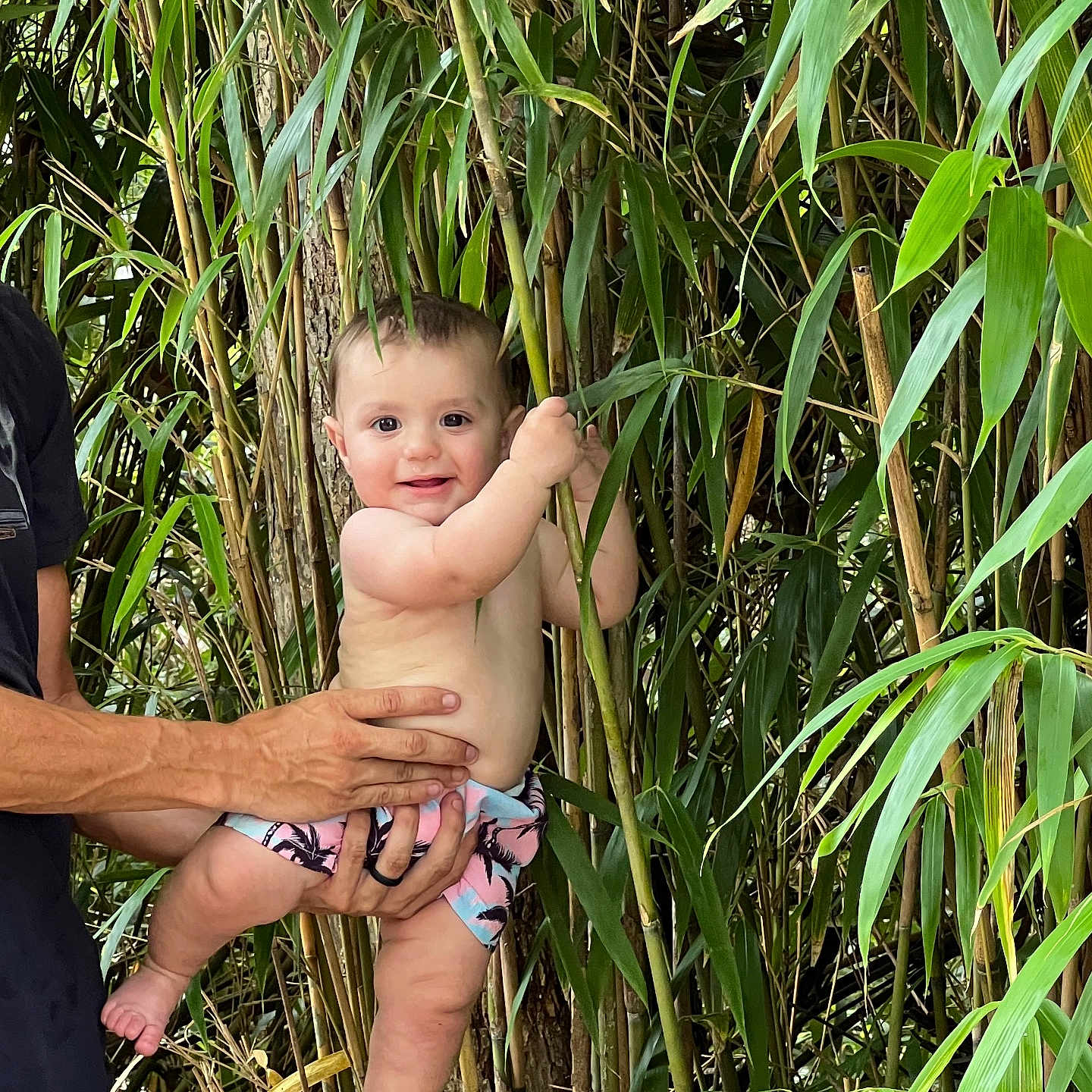 Gavin joined the competition — help win amazing prizes! baby, clothing, face, grass, head, herbal, herbs, jungle, land, nature, outdoors, person, photography, plant, portrait, rainforest, summer, swimwear, tree, vegetation