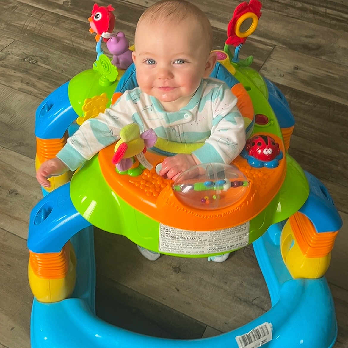 Burke Meade is registered to the contest to win money with this photo: baby, cutlery, face, furniture, grass, happy, head, indoors, outdoorplayarea, outdoors, person, photography, plant, playarea, portrait, sitting, smile, toy, transportation, vehicle