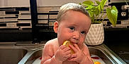 Remington joined the competition — help win amazing prizes! baby, sink, milk_bath, lemon, strawberry, fruit, kitchen, plant, toddler, water, cute, child, bath, tile, window, faucet, indoor, skin, face, hand