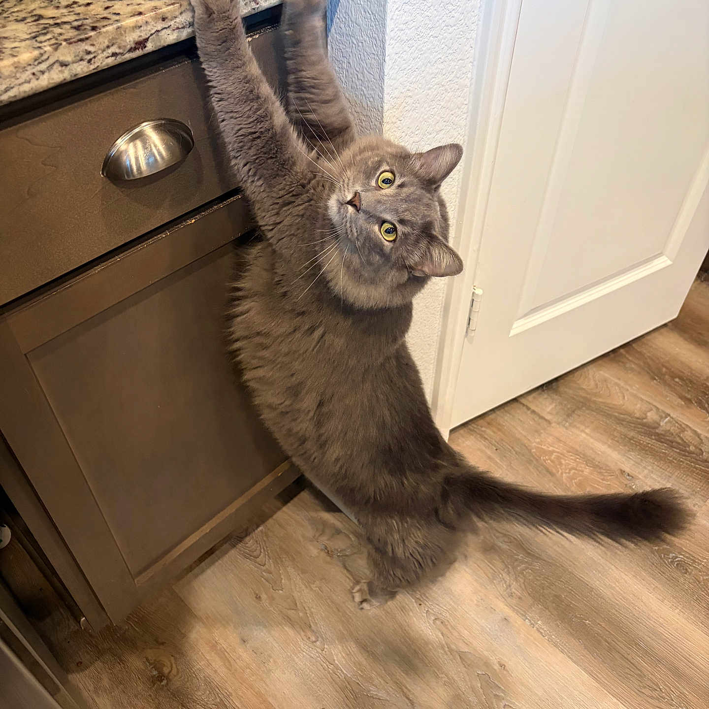 Titus