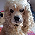 Delphine E.