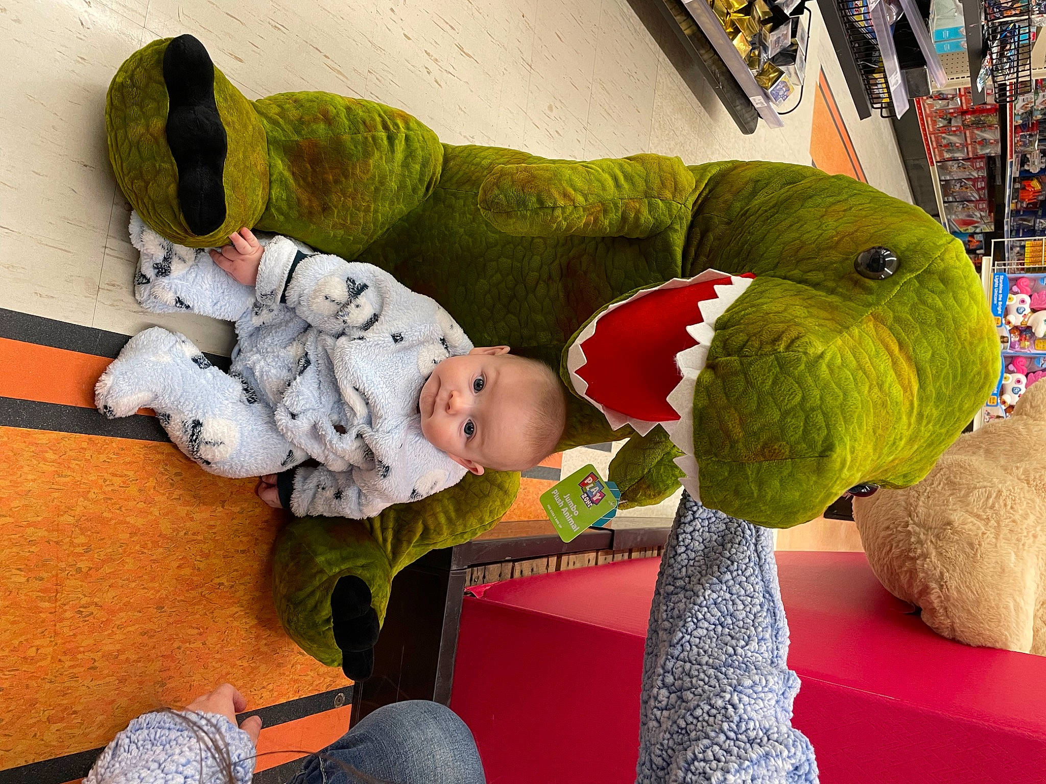 Paxton is registered to the contest to win money with this photo: baby, baby_products, baby_toys, beak, bird, child, comfort, face, fictional_character, fun, leisure, parrot, person, play, plush, room, stuffed_toy, textile, toddler, toy