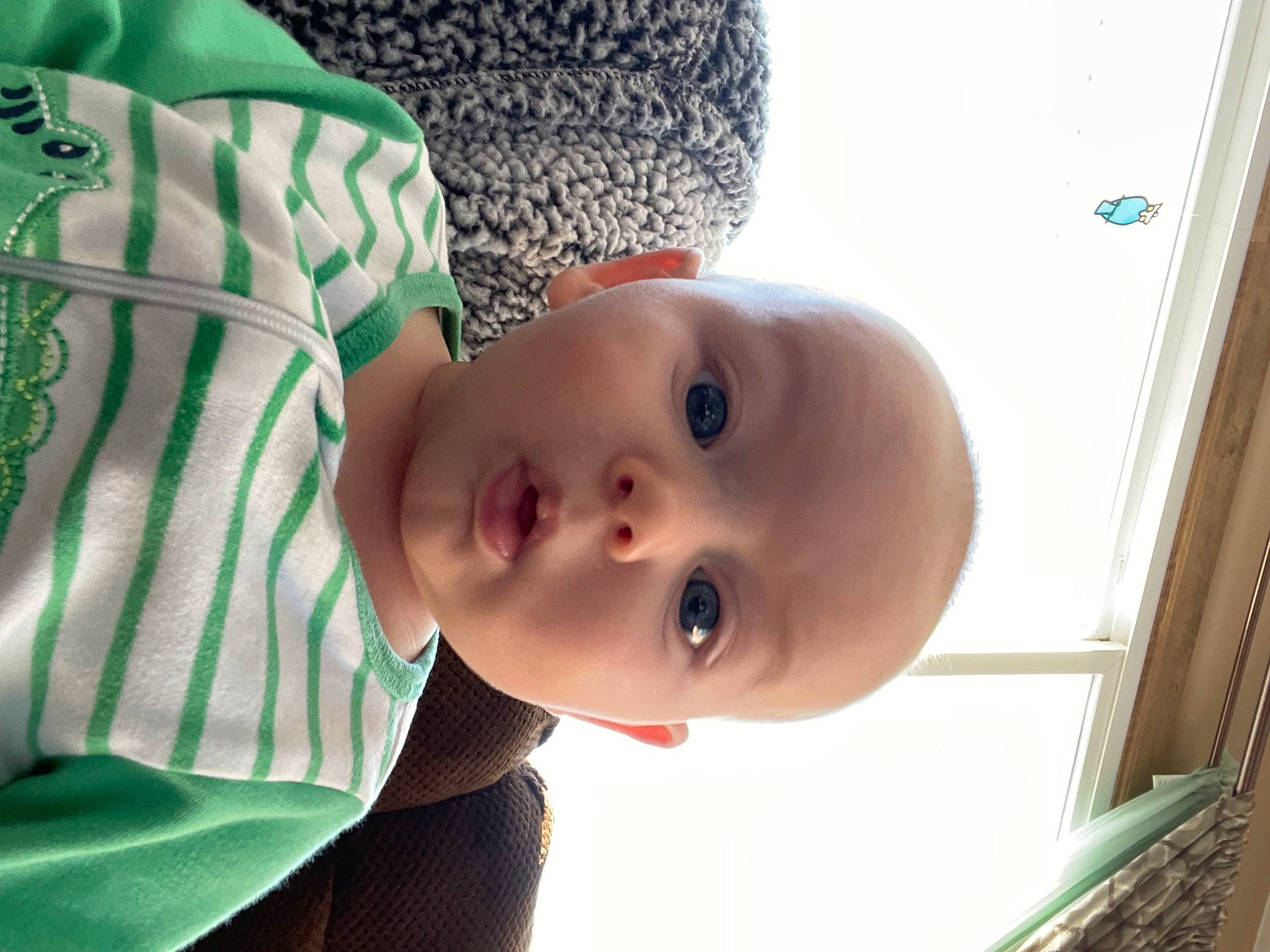 Paxton joined the competition — help win amazing prizes! baby, baby_toddler_clothing, cheek, child, eyebrow, eyelash, fun, happy, iris, lip, nose, person, plant, skin, sleeve, smile, surprise, t_shirt, tie, toddler