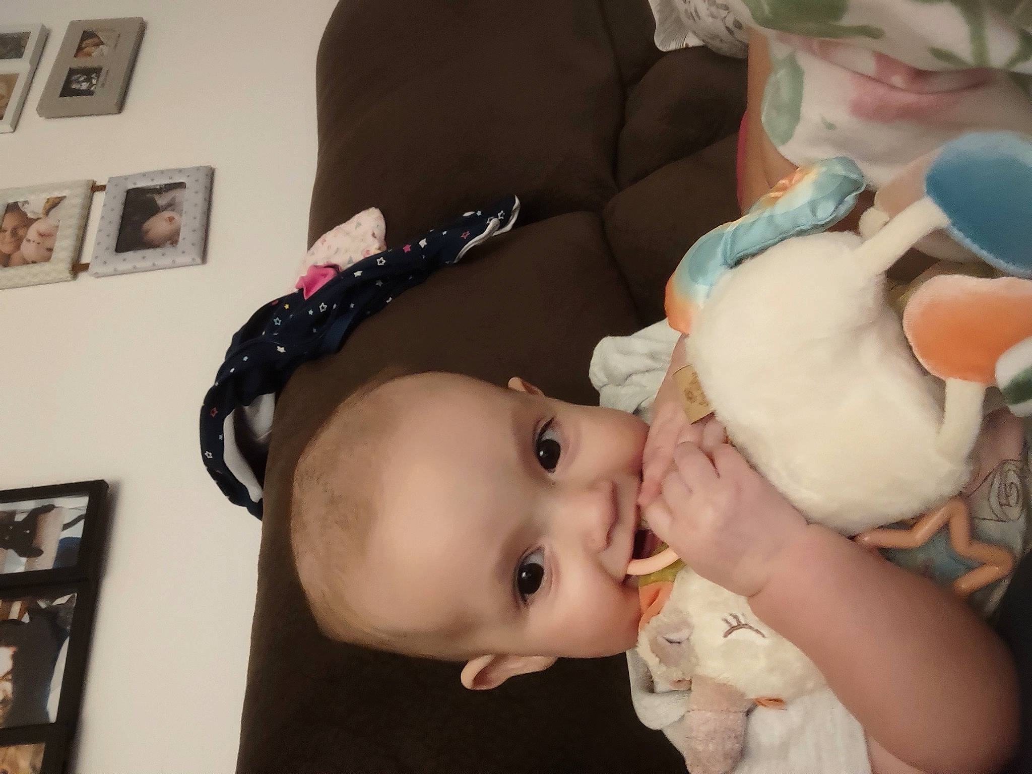 Allison is registered to the contest to win money with this photo: baby, baby_products, baby_toddler_clothing, cheek, child, doll, ear, eyelash, fun, joy, lip, mouth, nose, organ, person, picture_frame, room, skin, stuffed_toy, toddler