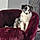 Olympe
