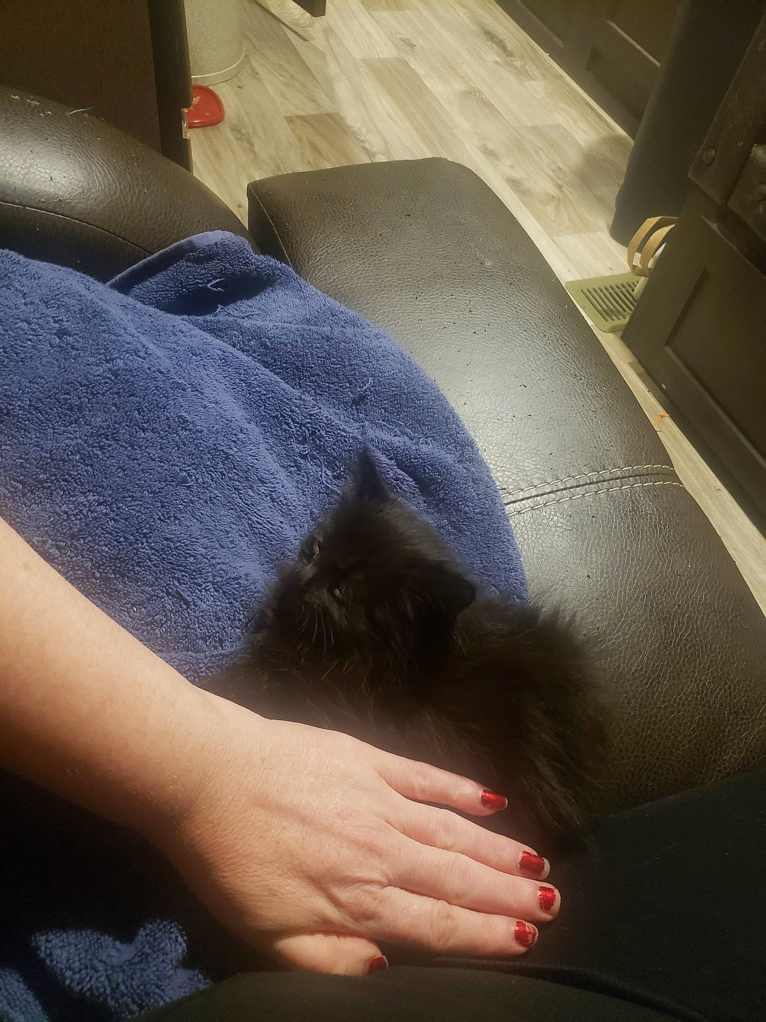 Elle joined the competition — help win amazing prizes! arm, comfort, elbow, finger, foot, hand, human_leg, joint, leg, nail, wrist