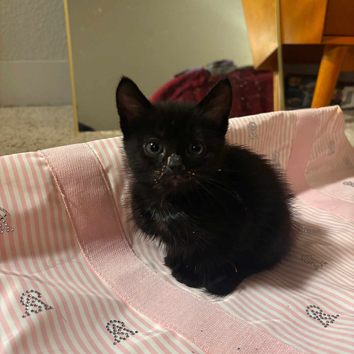 Luna