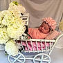 baby, blanket, carriage, child, cute, decor, flower, headband, indoor, infant, newborn, peaceful, pillow, pink, portrait, rest, sleeping, soft, toddler, white