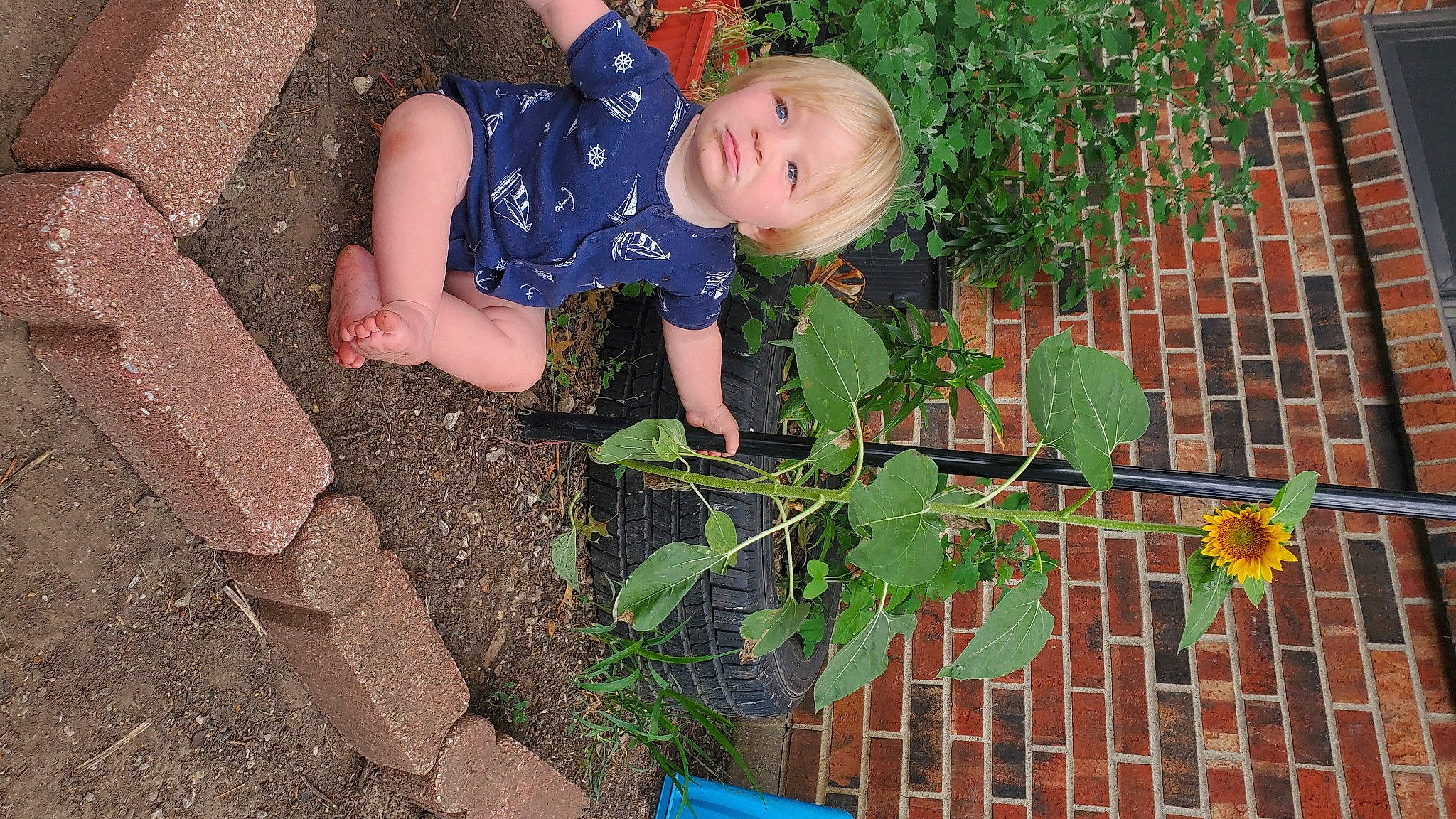 Jaxon is registered to the contest to win money with this photo: annual_plant, baby, baby_toddler_clothing, blue, brick, brickwork, child, electric_blue, flowering_plant, foot, grass, human_leg, leaf, pattern, people_in_nature, person, plant, smile, snapshot, thigh