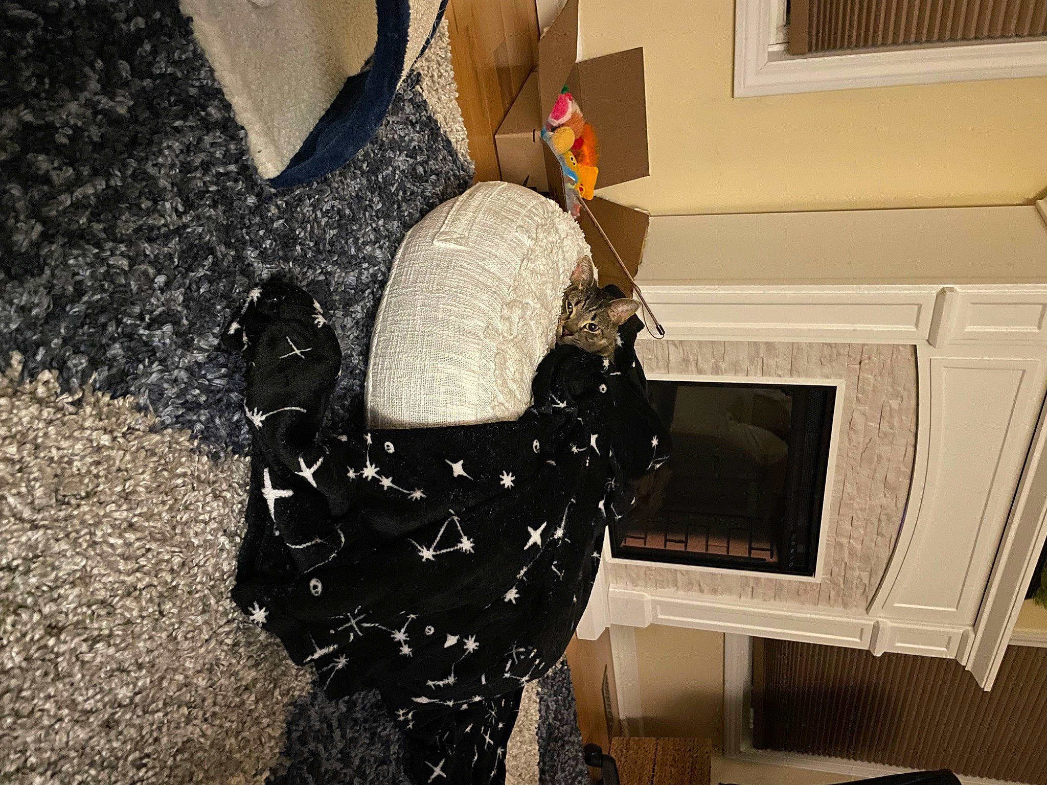 Dinah is registered to the contest to win money with this photo: black_hair, carmine, comfort, costume, dress, fashion_accessory, fashion_design, flooring, fun, fur, hat, human_leg, personal_protective_equipment, room, sitting, thigh, visual_arts, waist, window, wood