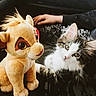 kitten, cat, plush_toy, stuffed_animal, lion, hand, car_interior, seat, fur, cute, pet, animal, toy, soft, indoor, relaxing, closeup, portrait, young, curious