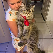 Grisou a rejoint le concours — aidez-le/la à gagner de superbes lots ! accessories, animal, bag, cat, child, clothing, door, dress, face, female, formalwear, girl, handbag, head, kitten, person, pet, photography, portrait, tie