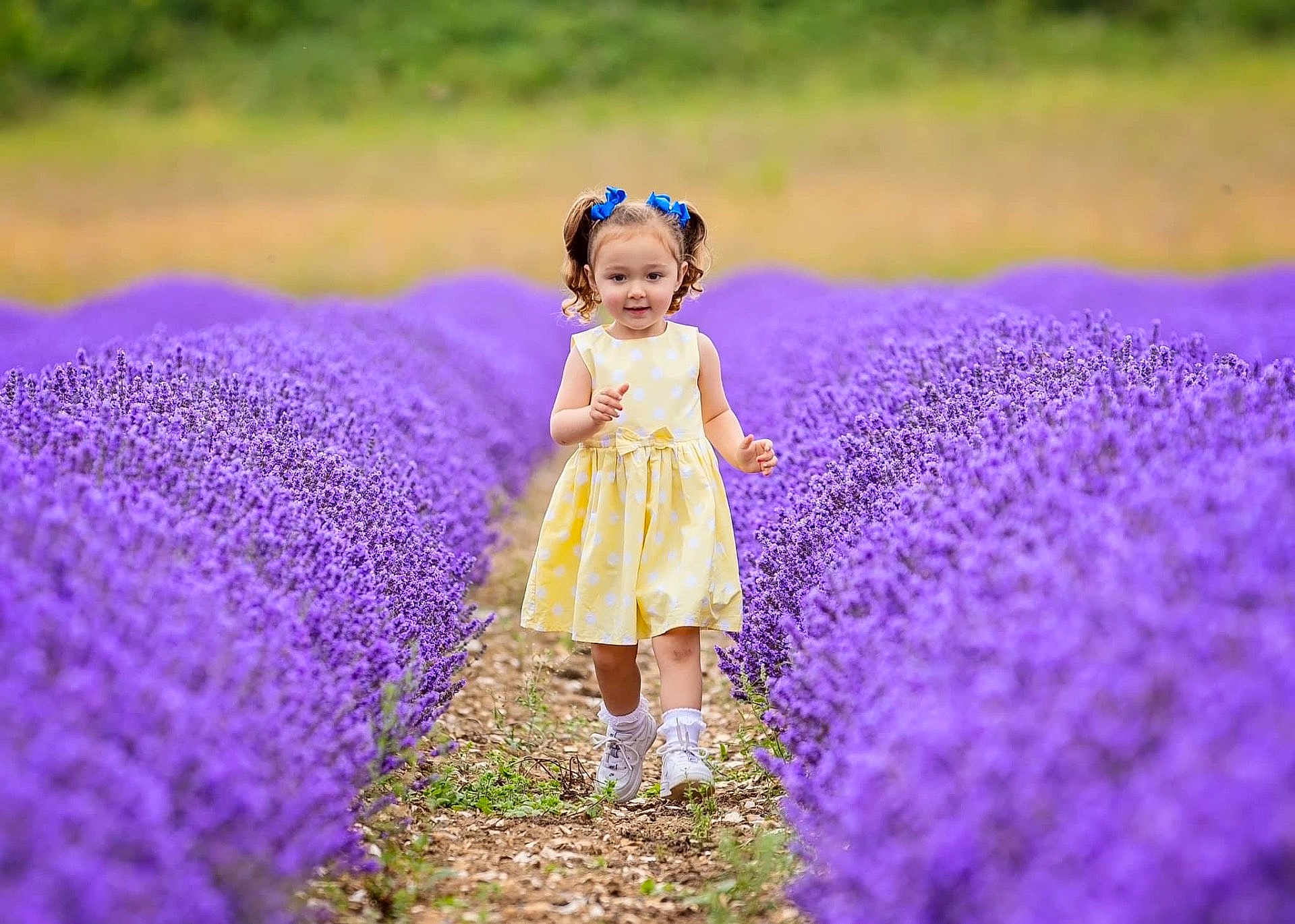 Aaliyah-May is registered to the contest to win money with this photo: child, clothing, dress, face, female, field, flower, girl, grass, head, herbal, herbs, lavender, outdoors, person, petal, photography, plant, portrait, purple