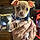 Barkley