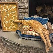 Junior joined the competition — help win amazing prizes! cat, orange_cat, fluffy, pet, feline, animal, indoors, fireplace, hearth, brick, chair, blue_chair, cushion, lying_down, upside_down, portrait, autumn, decor, cozy, home