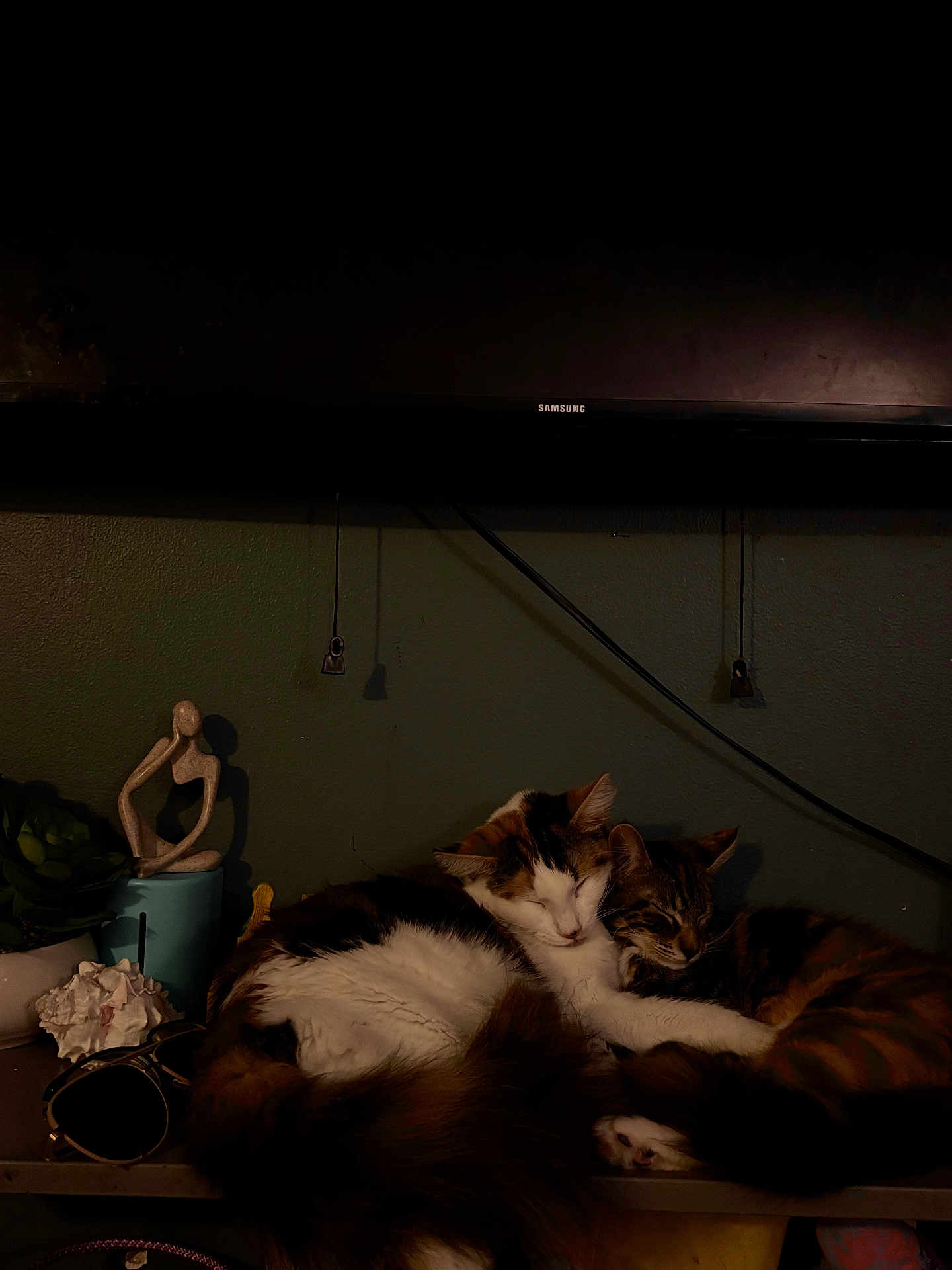 Dj And Evie