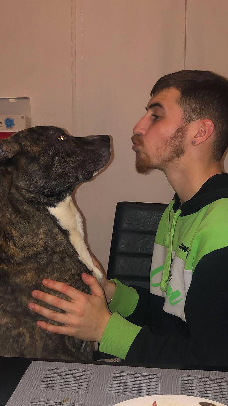 Atyla a rejoint le concours — aidez-le/la à gagner de superbes lots ! animal_training, beard, canidae, carnivore, companion_dog, dog, dog_breed, event, facial_hair, fun, fur, gesture, guard_dog, muscle, personal_protective_equipment, recreation, sitting, sporting_group, t_shirt, working_dog