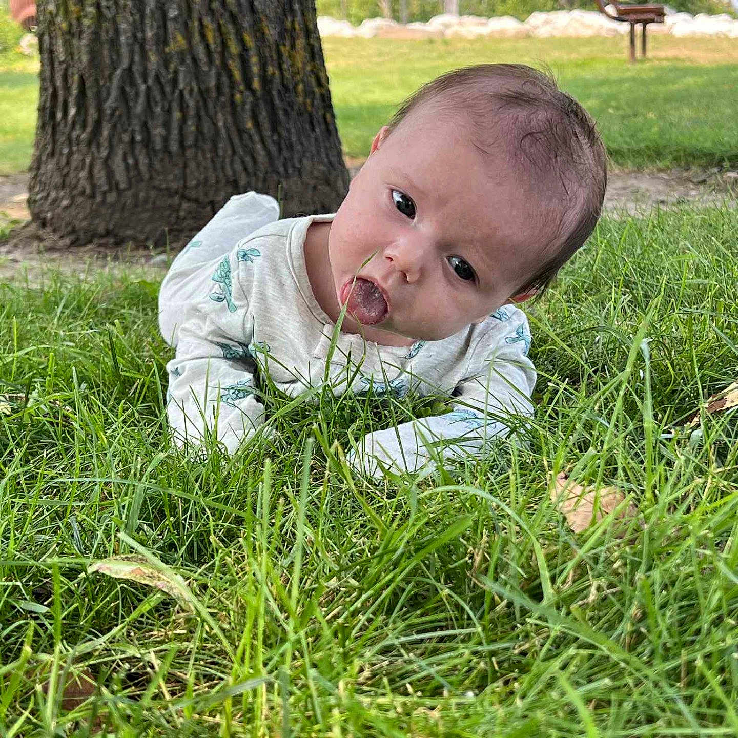 Salvateo joined the competition — help win amazing prizes! baby, bench, casual_clothing, child, curious, daylight, expression, face, grass, greenery, head, infant, lawn, nature, outdoor, park, person, tongue, tree, young