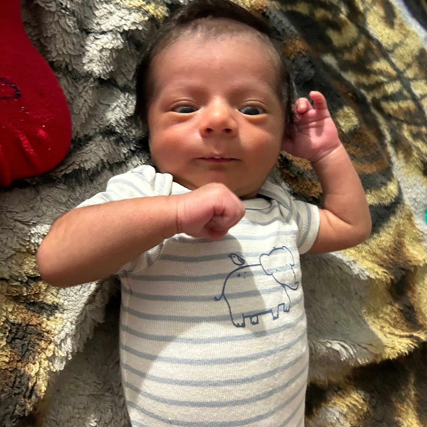 Elias