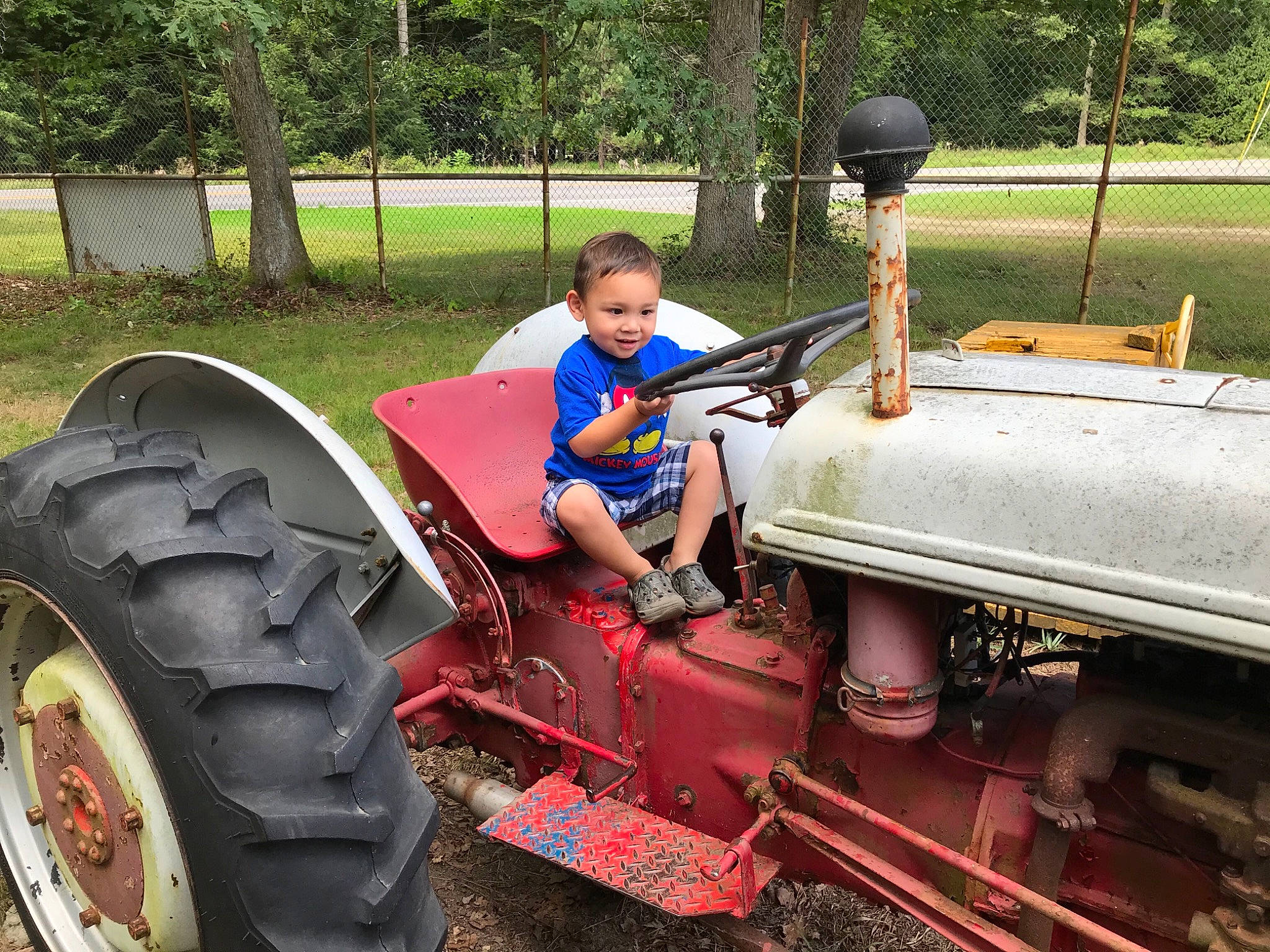 Joseph Basilio Gounder is registered to the contest to win money with this photo: agricultural_machinery, automotive_exterior, automotive_tire, automotive_wheel_system, bumper, fender, grass, joy, mode_of_transport, motor_vehicle, person, plant, rolling, synthetic_rubber, tire, toddler, tractor, tread, tree, vehicle