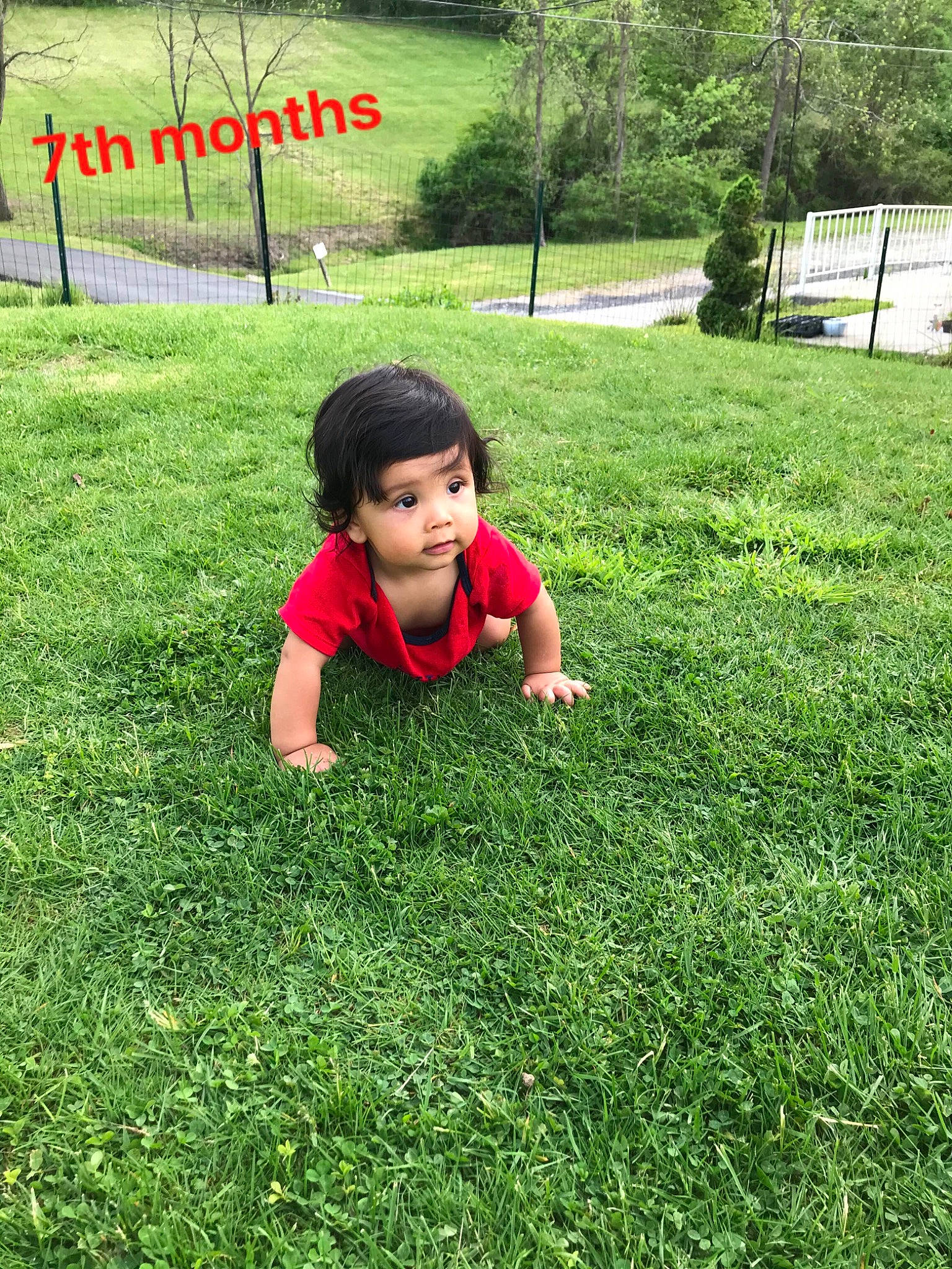 Kohen Valentin Gounder is registered to the contest to win money with this photo: baby, baby_toddler_clothing, child, flooring, grass, grass_family, grassland, green, groundcover, happy, landscape, lawn, leisure, meadow, people_in_nature, person, plant, recreation, shrub, toddler
