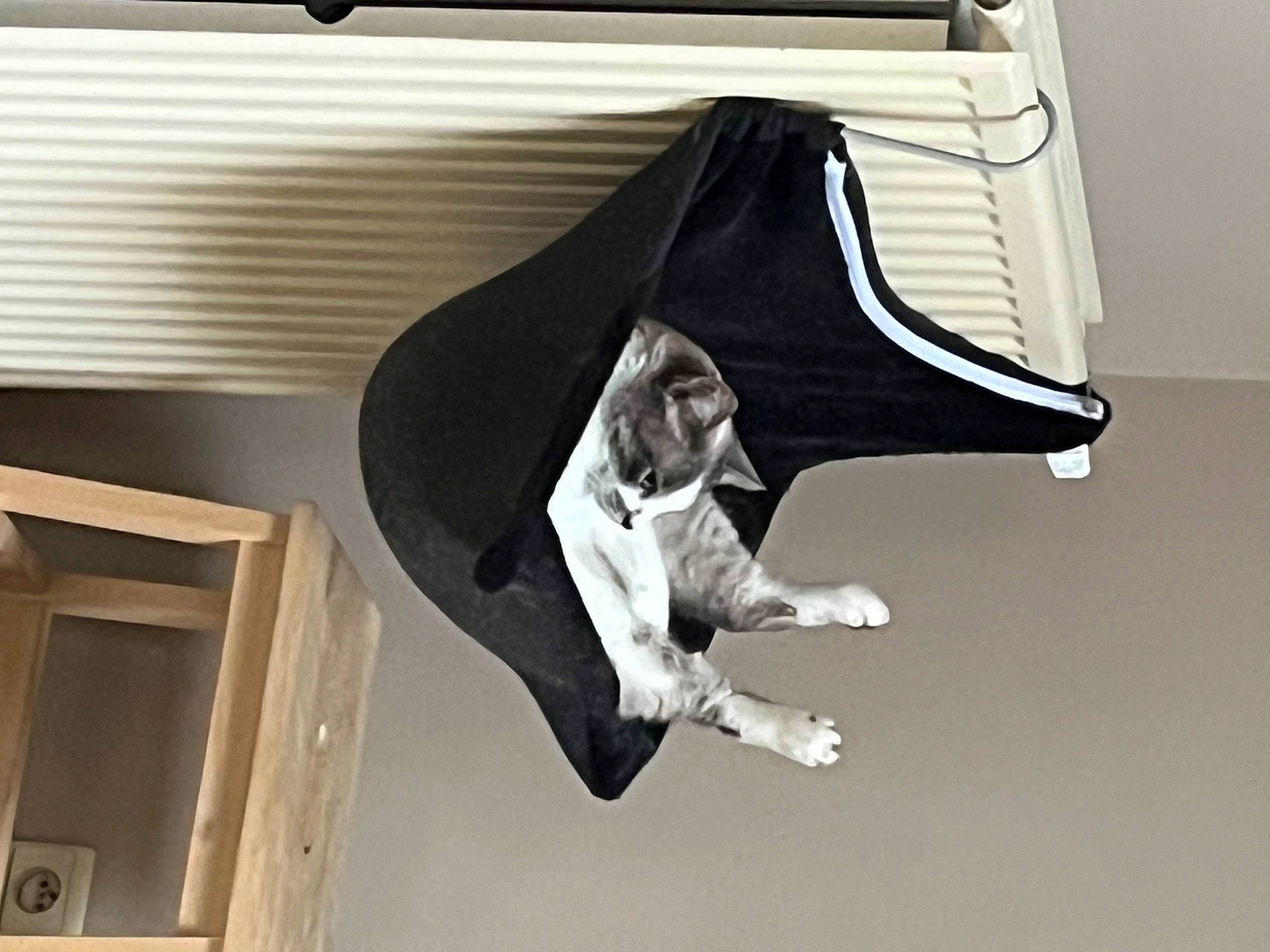 Ritchy participe au concours pour gagner de l'argent avec cette photo : art, automotive_design, ceiling, elbow, event, fashion_accessory, flash_photography, gesture, monochrome_photography, performance, room, shade, tints_and_shades, wood