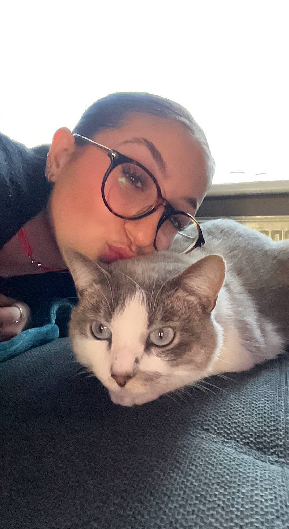 Ritchy participe au concours pour gagner de l'argent avec cette photo : beard, carnivore, cat, comfort, domestic_short_haired_cat, ear, eyewear, felidae, fur, gesture, glasses, moustache, nose, selfie, sitting, small_to_medium_sized_cats, snout, vision_care, whiskers, wood