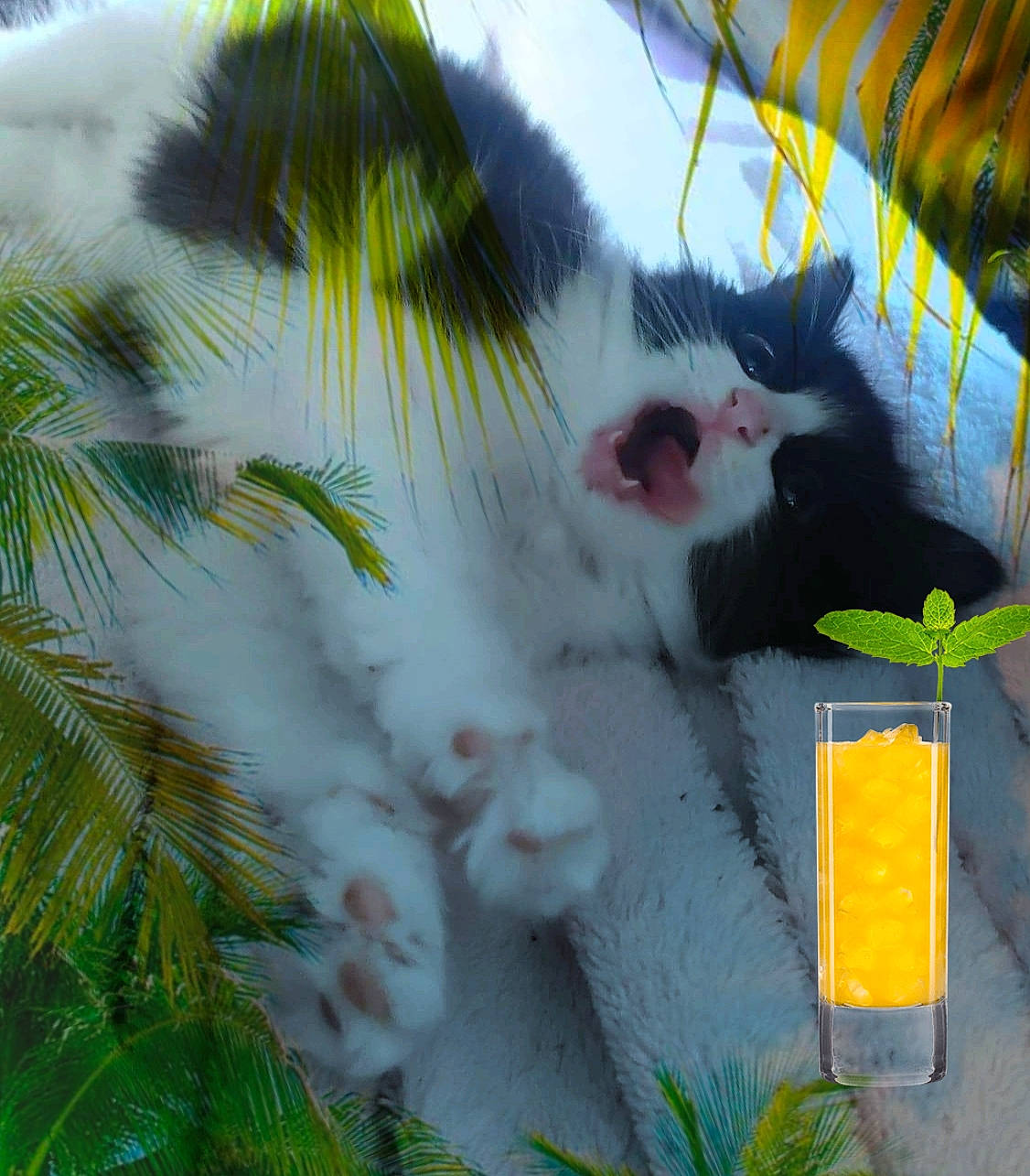 Saphire participe au concours pour gagner de l'argent avec cette photo : art, canidae, carnivore, cat, domestic_short_haired_cat, eye, fawn, felidae, fur, grass, leaf, organism, paw, plant, small_to_medium_sized_cats, snout, tail, tree, whiskers, wildlife