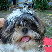 IAGO participe au concours pour gagner de l'argent avec cette photo :