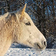 GALETTE a rejoint le concours — aidez-le/la à gagner de superbes lots !