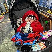 Jeremiah Cox joined the competition — help win amazing prizes! baby, stroller, bottle, milk, red_jacket, beanie, gloves, blanket, cartoon, bus, priority_seat, window, seat, floor, toy, child, person, indoor, cold_weather, transportation