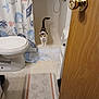 cat, bathroom, shower, shower_curtain, toilet, bathroom_rug, door, wood, floor, tile_floor, domestic, curious, calico_cat, indoor, home, plumbing, fixture, small_space, clean, white