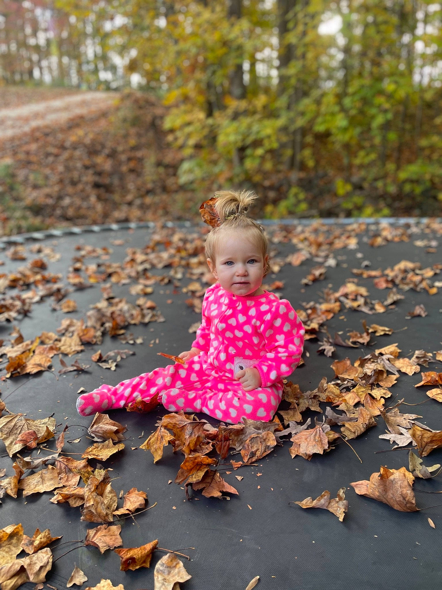 Everly is registered to the contest to win money with this photo: adaptation, asphalt, branch, deciduous, fawn, grass, happy, leaf, mammal, people_in_nature, person, plant, road_surface, smile, tints_and_shades, toddler, tree, vertebrate, wood, woody_plant